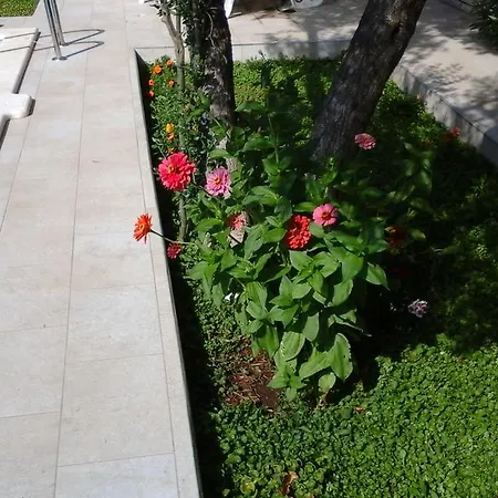 Donadini * Trogir