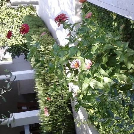 Appartamento Donadini