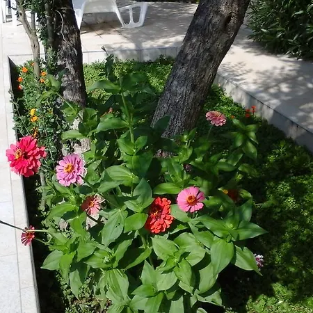 Donadini Apartment *