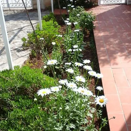 Donadini Apartment