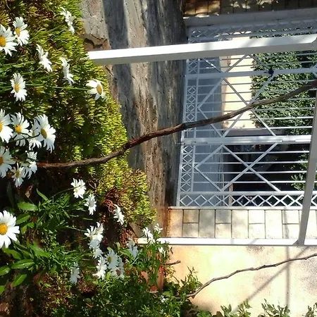 Apartment Donadini *
