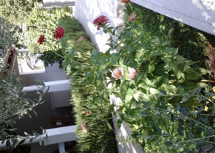 Apartamento Donadini