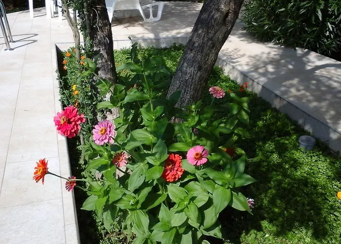 Donadini Apartamento *