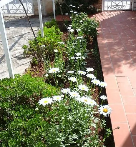 Donadini Apartamento