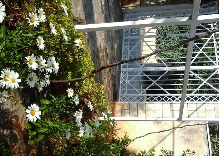 Apartamento Donadini *